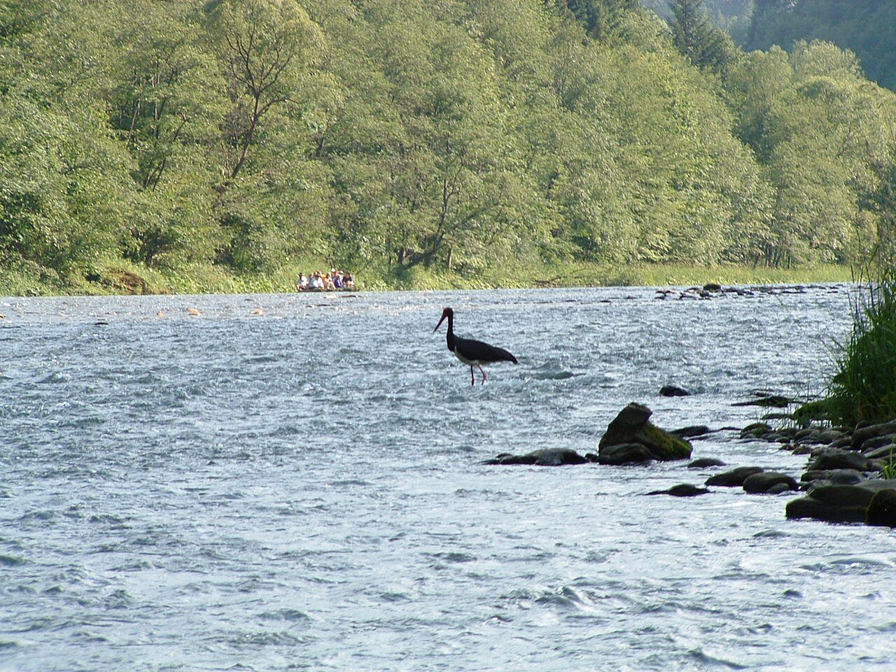 Pieniny i Dunajec — Małopolska