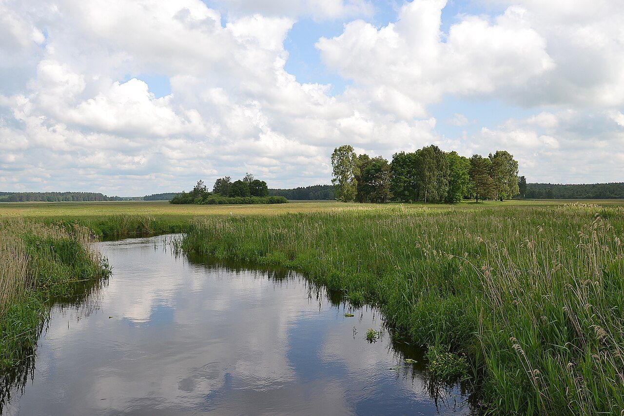Biebrzański Park Narodowy — Podlasie